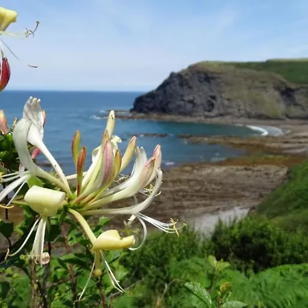 샬레 18 Widemouth Bay Village 뷰드